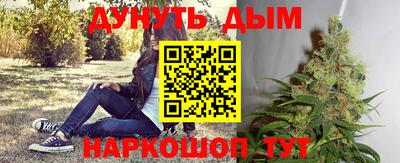 ALPHA PVP Моздок