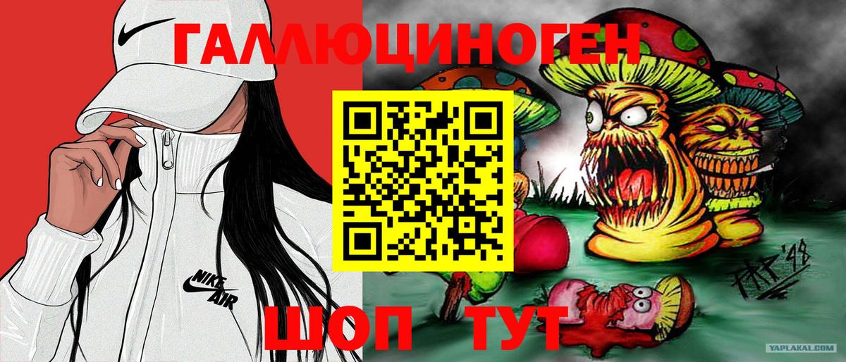 Псилоцибиновые грибы Psilocybe Трёхгорный