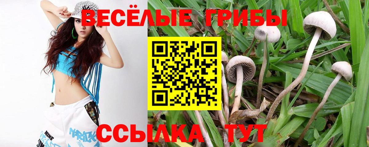 Трёхгорный  Галлюциногенные грибы GOLDEN TEACHER  Вход с VPN  Галлюциногенные грибы MAGIC MUSHROOMS 